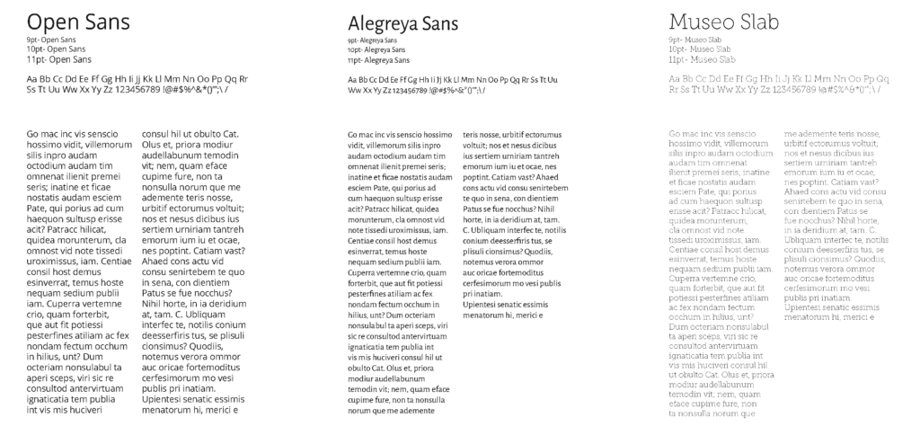 info level fonts used in a brand identity package